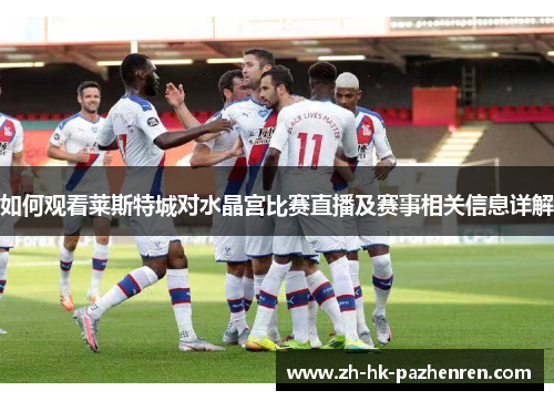 如何观看莱斯特城对水晶宫比赛直播及赛事相关信息详解
