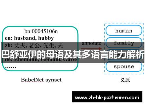 巴舒亚伊的母语及其多语言能力解析