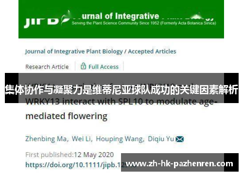 集体协作与凝聚力是维蒂尼亚球队成功的关键因素解析 集体协作与凝聚力是维蒂尼亚球队成功的关键因素解析