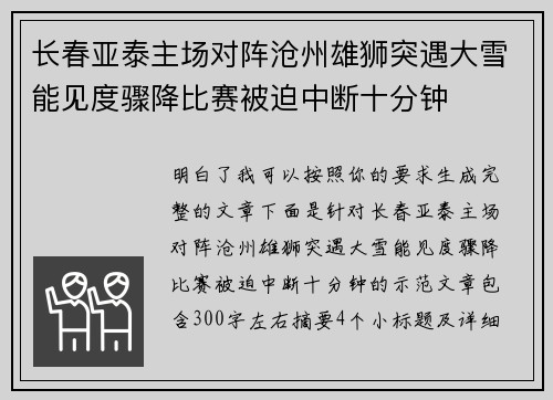 长春亚泰主场对阵沧州雄狮突遇大雪能见度骤降比赛被迫中断十分钟