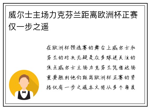 威尔士主场力克芬兰距离欧洲杯正赛仅一步之遥